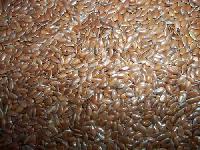 Flax Seed