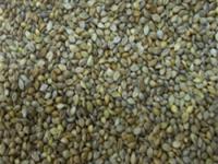 grains