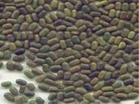 Green Manure