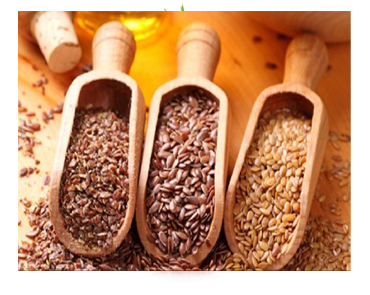 Oil Seeds